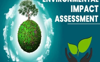 What environmental assessments are required?