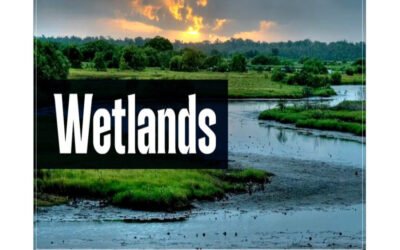 Where are wetlands or protected zones?