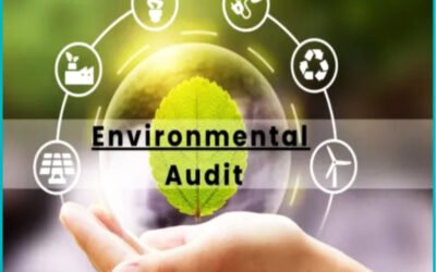 When was the last environmental audit?