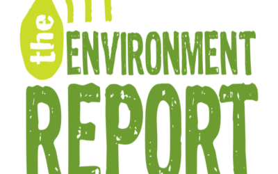 Why are environmental reports necessary?