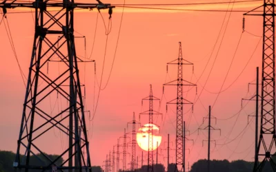 Where do utility lines enter the site?