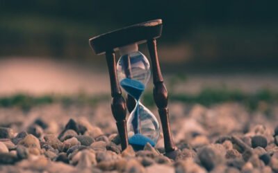 What is the expected ROI?