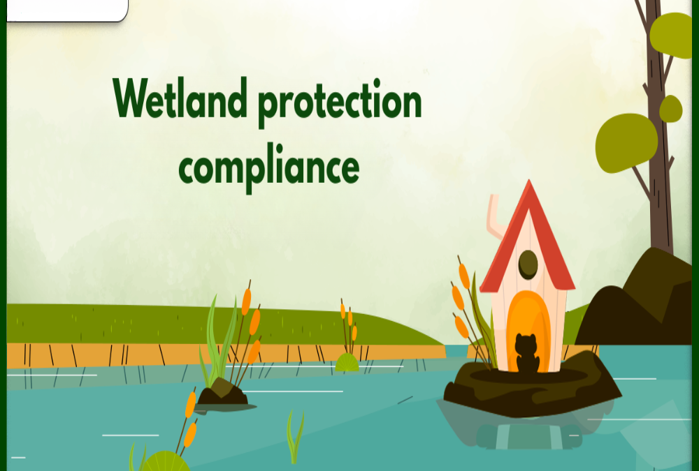 Explain wetland protection compliance in site planning