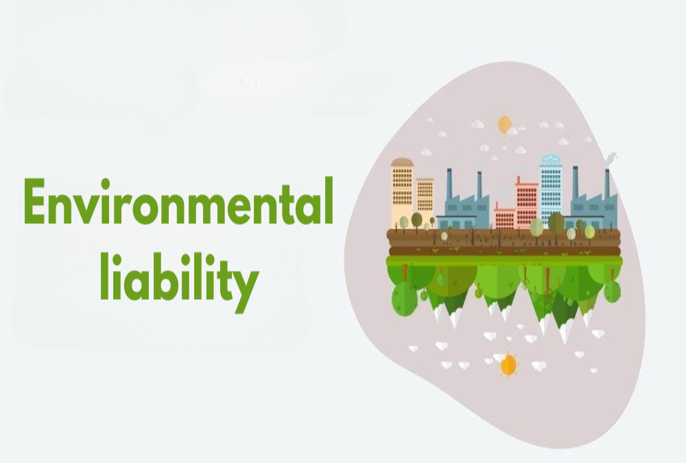 Describe environmental liability in land transactions