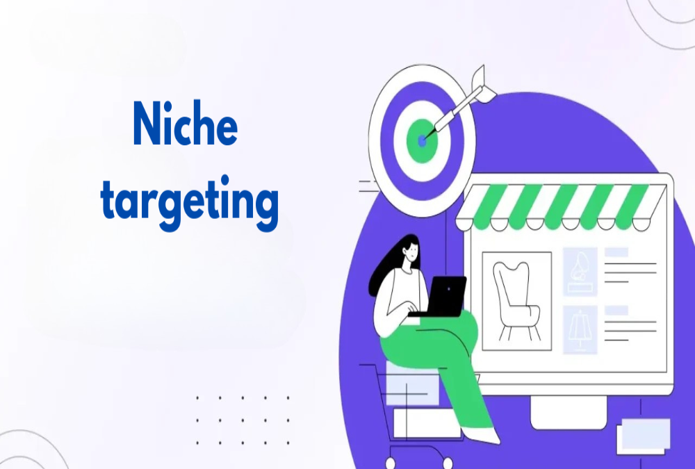  Introduction to niche targeting for property sales