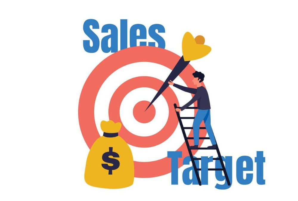  Establish sales targets based on market capacity