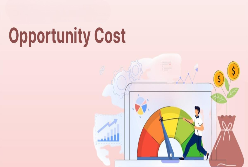 Describe opportunity cost in investment decision frameworks