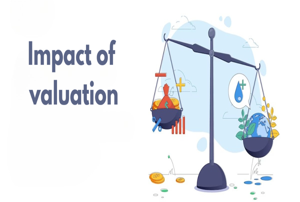 Establish valuation impact on investment performance