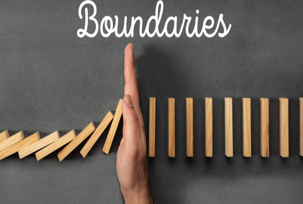 Define fencing and boundary marking cost categories